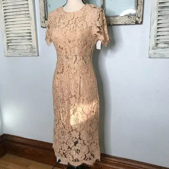 Beautiful NWT NSR Dress - Picture 1 of 14